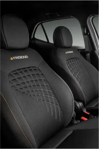 interior-Argo-trekking-01-1 2_webp
