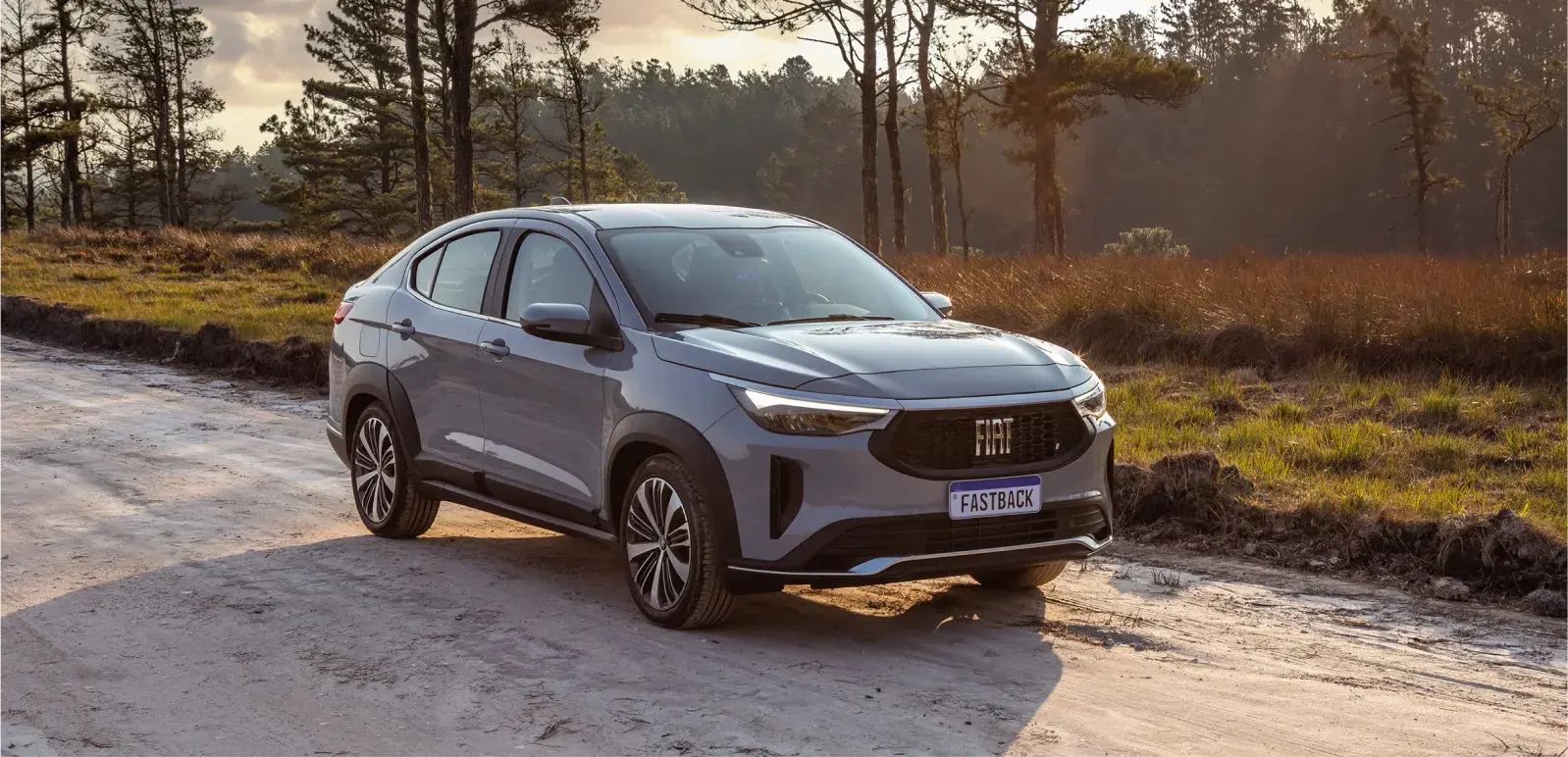 Main image of Fiat Fastback